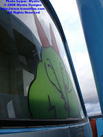 STM-METYV-111008-11.jpg