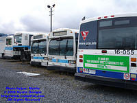 STM-YV-111008-19.jpg