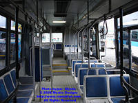 STM-16140-111008-02.jpg