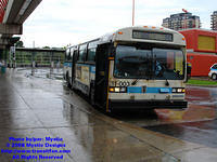 STM-11003-073108-04.jpg