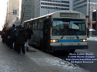 STM-11013-012009-01.jpg