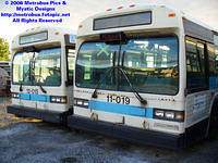 STM-11019-091006-01.jpg