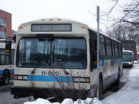 STM-11020-020508-06.jpg