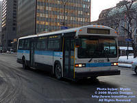 STM-11030-012009-01.jpg