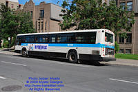 STM-11030-071509-05.jpg