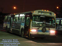 STM-11032-021609-01.jpg