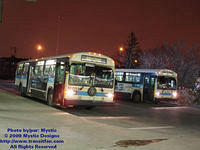 STM-11032-021609-02.jpg