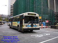 STM-11032-101308-01.jpg