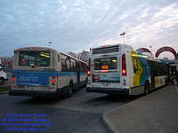 STM-11035-112509-04.jpg