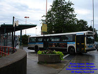 STM-12005-073108-07.jpg