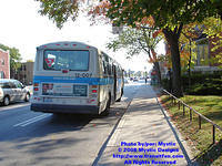STM-12007-092408-02.jpg