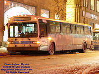 STM-12051-012009-05.jpg