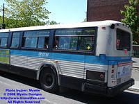 STM-12051-052508-02.jpg