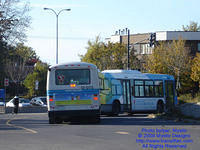 STM-12075-101909-05.jpg