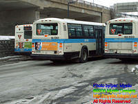 STM-14067-030106-02.jpg