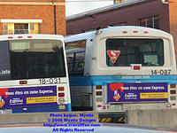 STM-14087-092408-01.jpg