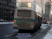 STM-15019-010509-02.jpg