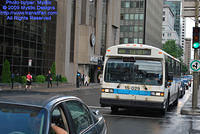 STM-15029-070809-01.jpg
