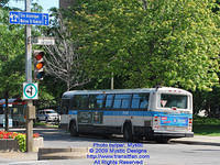STM-15039-071509-03.jpg