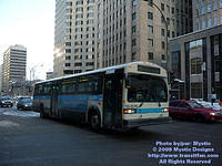 STM-15079-012009-01.jpg