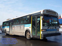 STM-15137-022509-01.jpg