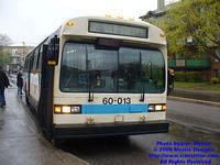 STM-60013-050308-01