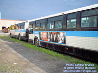 STM-60035-220705-01SP.jpg