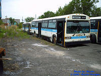 STM-55065-230605-01.jpg