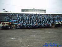 STM-56055-230605-03.jpg