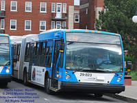 STM-29823-050210-01.jpg