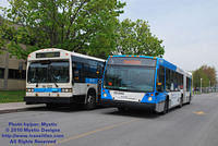STM-29844-050210-04.jpg