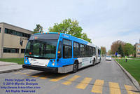 STM-29844-050210-05.jpg
