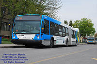 STM-29844-050210-08a.jpg