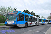 STM-29851-050210-05.jpg