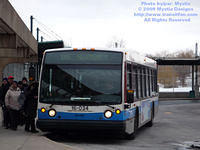STM-16034-021609-01.jpg