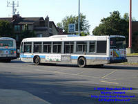 STM-16141-062907-01.jpg