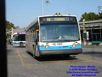 STM-16180-092408-01.jpg
