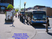 STM-17140-052508-01.jpg