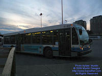 STM-17169-120209-02.jpg
