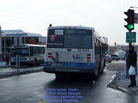 STM-18014-022509-02.jpg