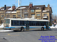 STM-18014-031308-01.jpg