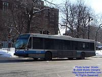 STM-18017-022509-02.jpg