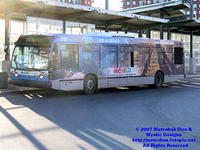 STM-18038-033107-01.jpg