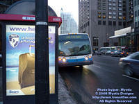 STM-18054-010509-01.jpg