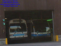 STM-18061-092408-01.jpg
