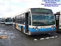 STM-18065-041407-03.jpg