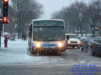 STM-18081-010209-01.jpg