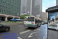 STM-18082-070809-02.jpg