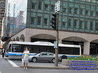 STM-18083-071509-01.jpg