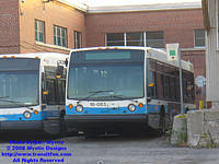 STM-18083-092408-01.jpg